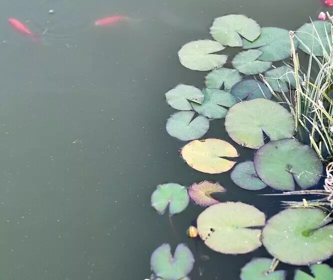 Aldeia Da Quinta Do Paço