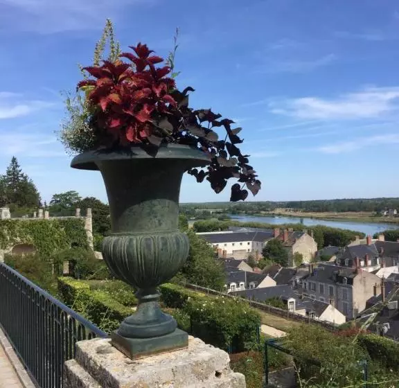 تختخواب و صبحانه Au 16 Place Saint Louis