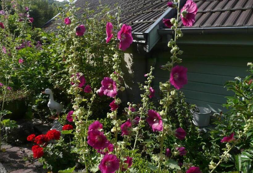 Bed and Breakfast Roulotte La Dominique