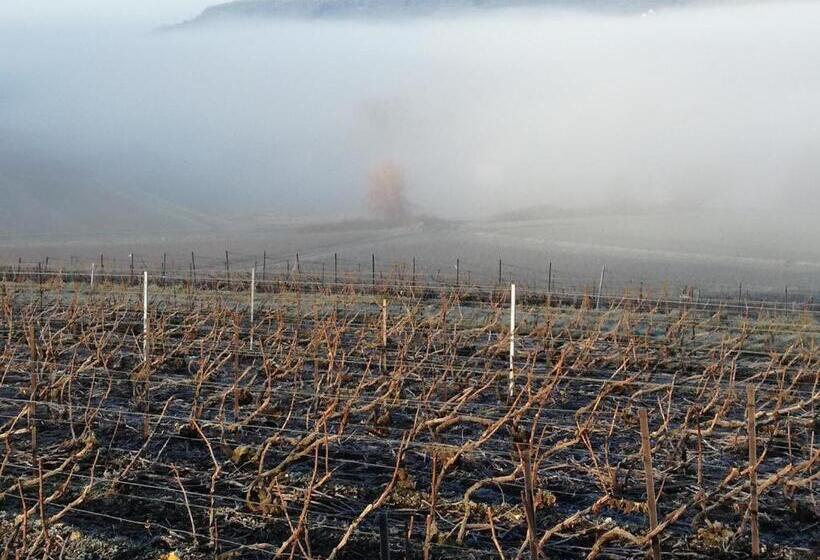 Bed and Breakfast Roulotte La Dominique