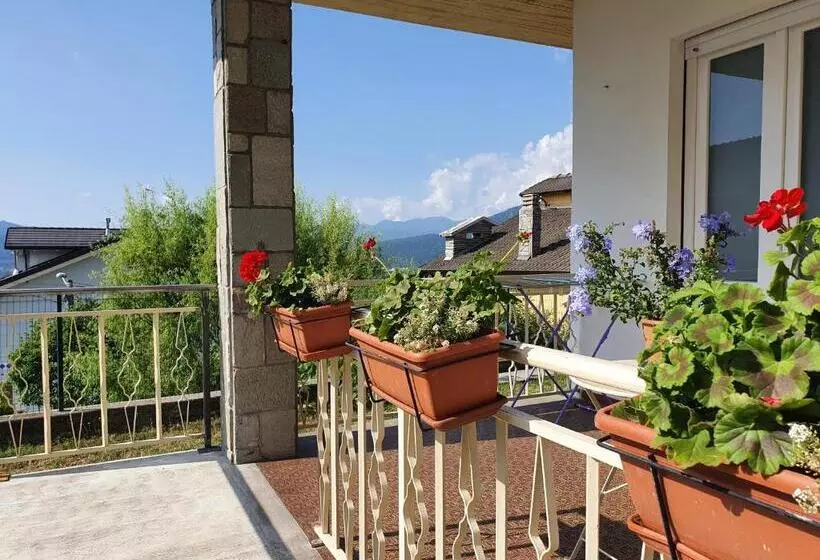 Fiori F   Le Joli Coin