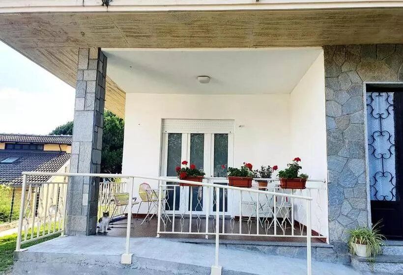 Fiori F   Le Joli Coin