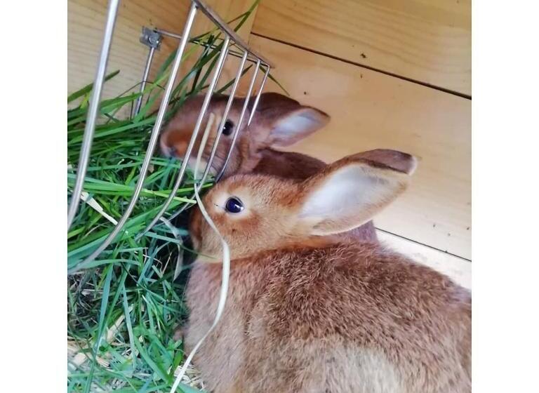 هتل Pension Schmiderer Vorderkasbichlhof