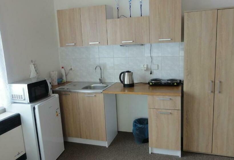 بنسيون Penzion U Hradeb