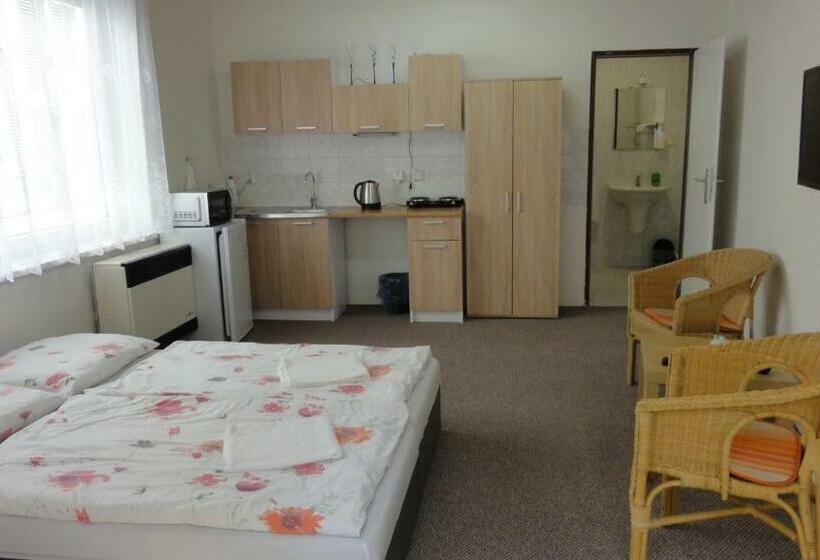 بنسيون Penzion U Hradeb