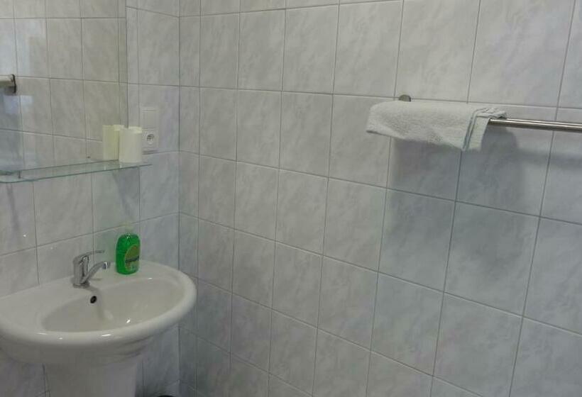 بنسيون Penzion U Hradeb