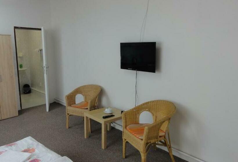 بنسيون Penzion U Hradeb