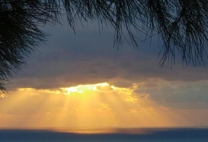 Pensió Villa Le Sud