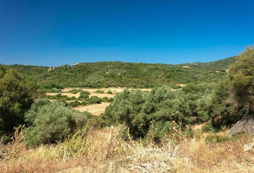 Casa Vacanza Stazzu Saiacciu