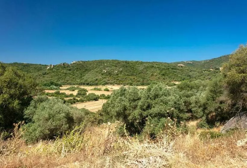 Casa Vacanza Stazzu Saiacciu