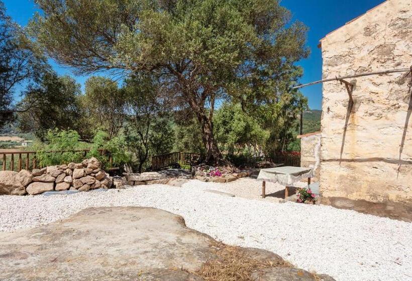 Casa Vacanza Stazzu Saiacciu