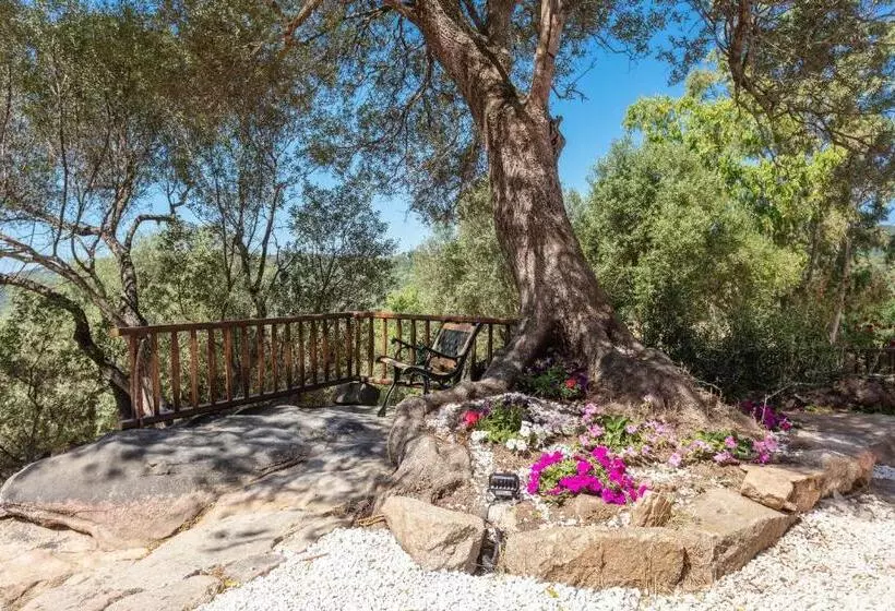 Casa Vacanza Stazzu Saiacciu