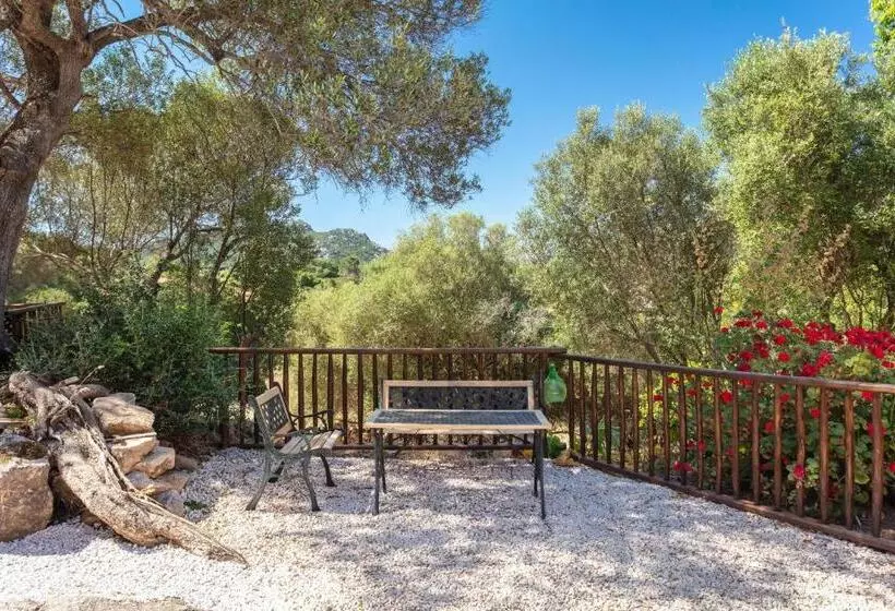 Casa Vacanza Stazzu Saiacciu