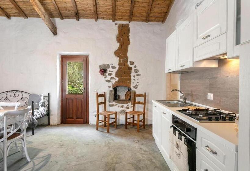 Casa Vacanza Stazzu Saiacciu