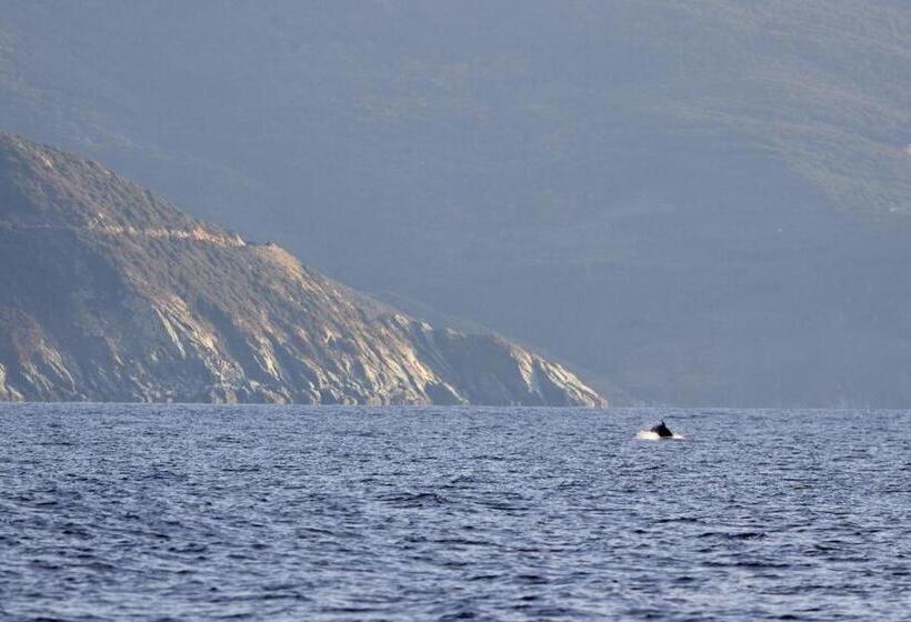 בית מלון כפרי Hôtel De La Jetée