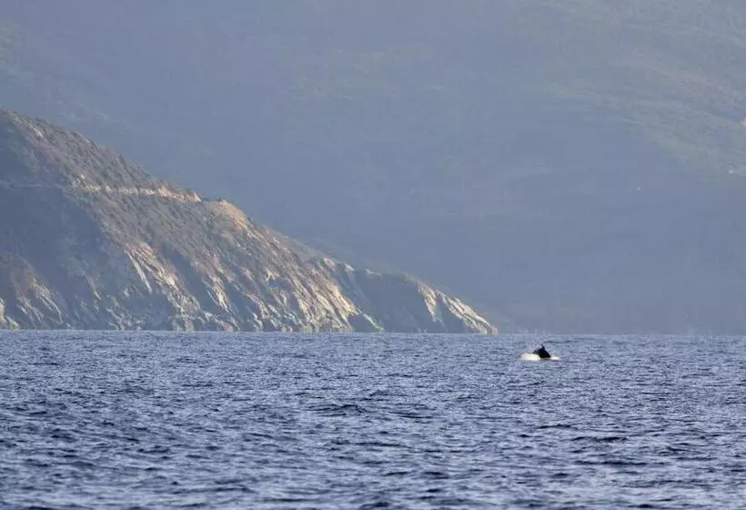 Hotelli Hôtel De La Jetée