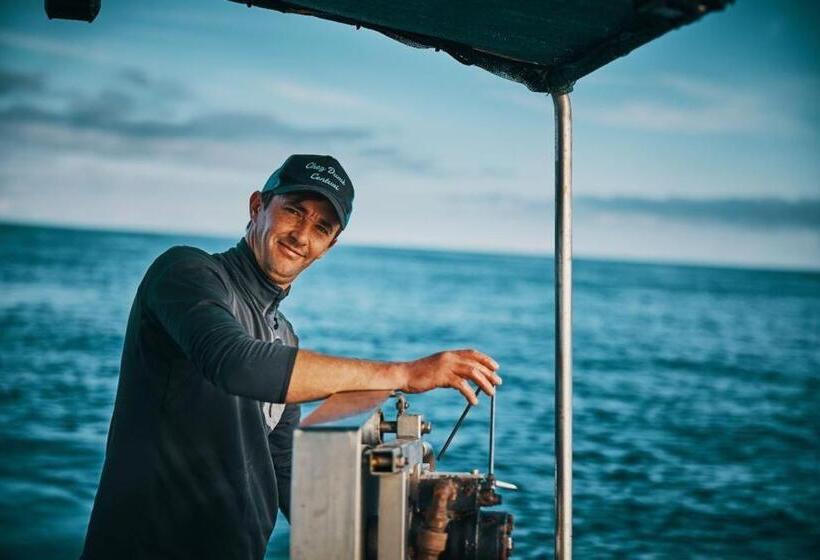 בית מלון כפרי Hôtel De La Jetée