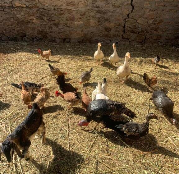 هتل Nubian Farm Aswan