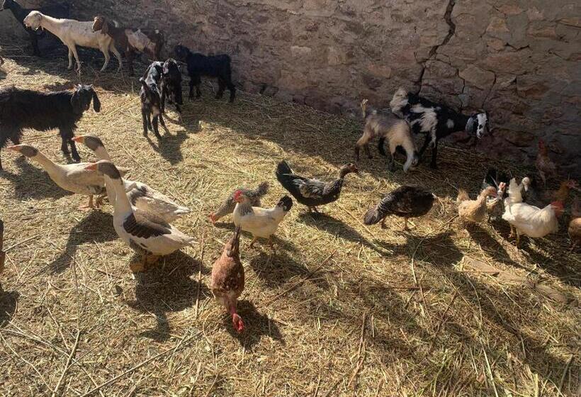هتل Nubian Farm Aswan