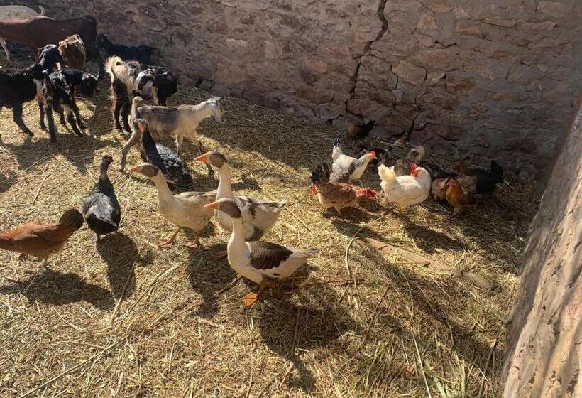 هتل Nubian Farm Aswan