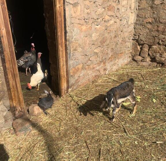 هتل Nubian Farm Aswan