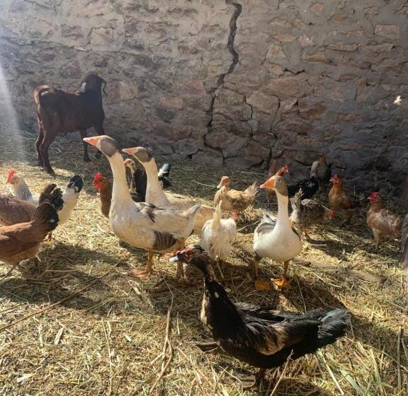 هتل Nubian Farm Aswan