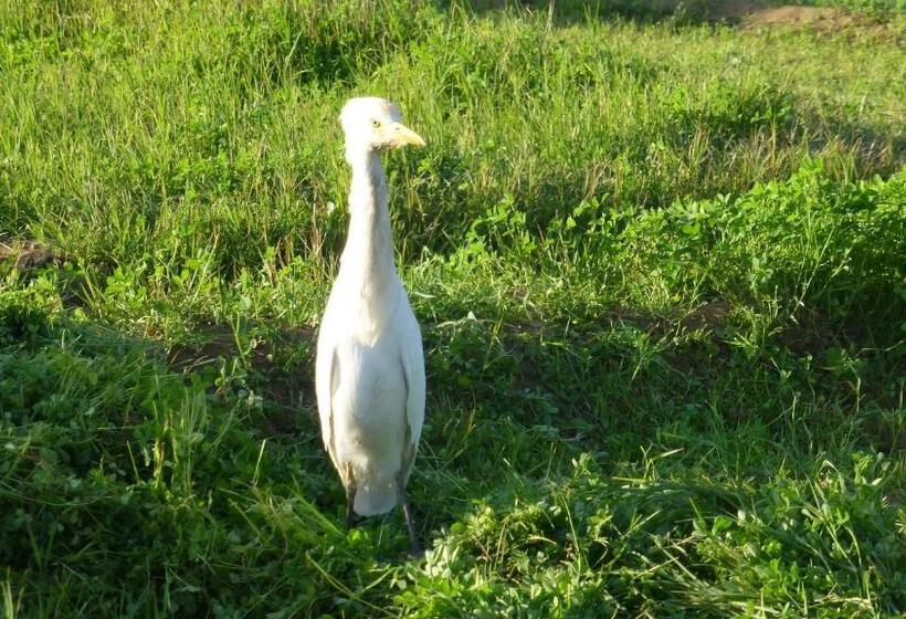 هتل Nubian Farm Aswan