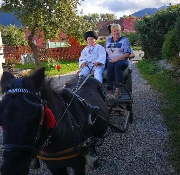 Majatalo Penzión U Koníka