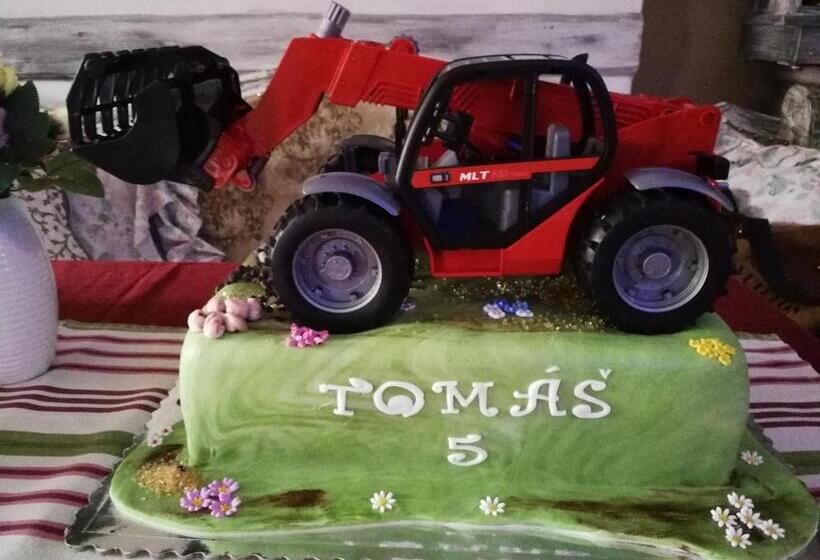 펜션 Penzión U Koníka