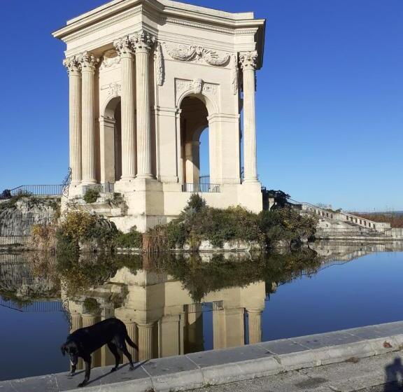 Peyrou, Studio La Merci, 3 étoiles