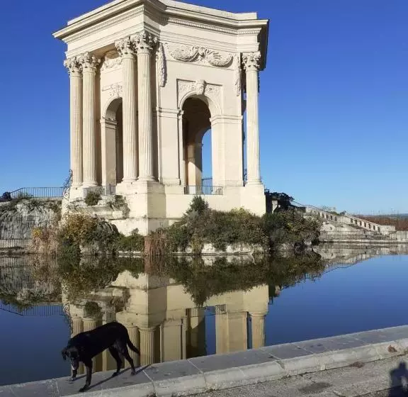 Peyrou, Studio La Merci, 3 étoiles