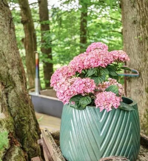 The Loveshack Lodge Balquhidder