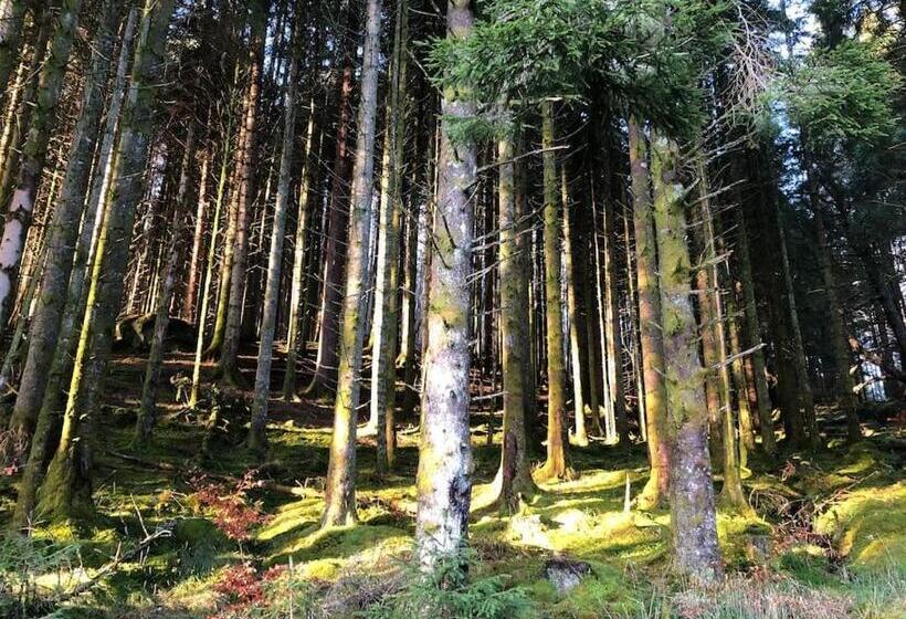 The Loveshack Lodge Balquhidder