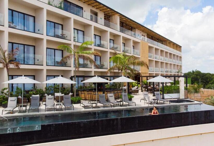 Hive Cancun By G Hotels