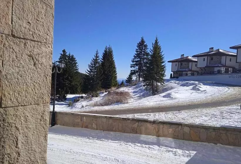 ски студио хрис в комплекс лъки пампорово