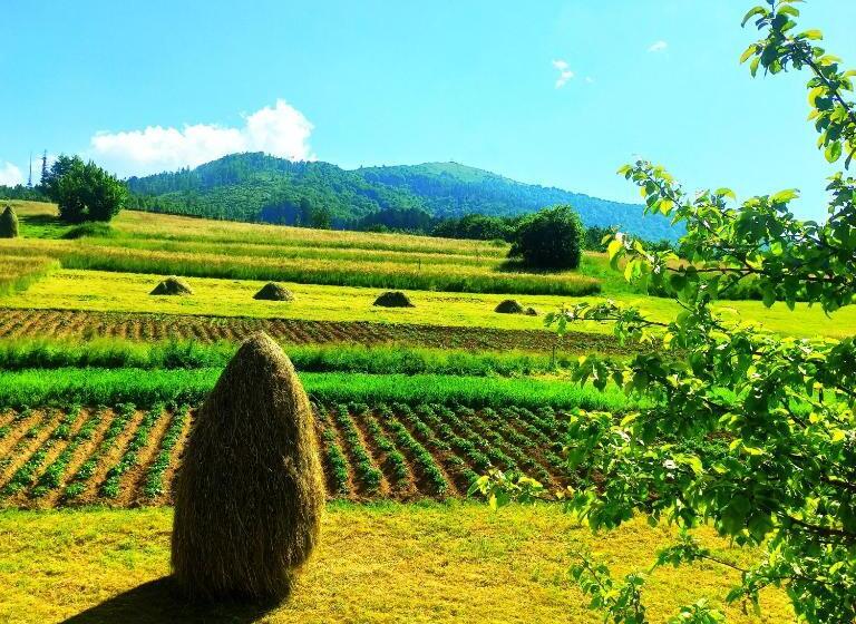 Bed and Breakfast садиба у василя