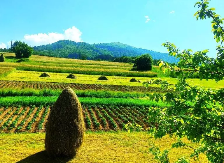 Aamiaismajoitus (B&B) садиба у василя