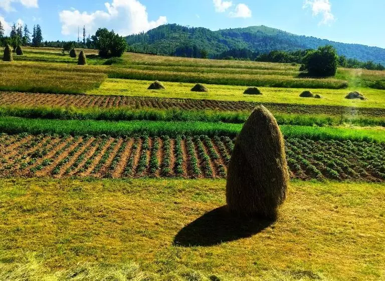 Aamiaismajoitus (B&B) садиба у василя