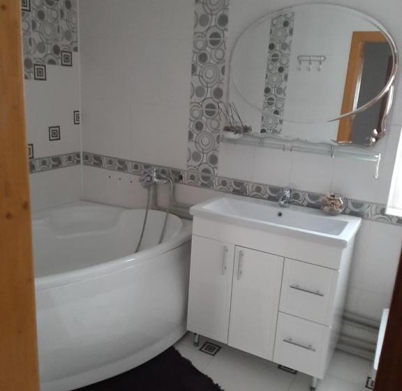 بنسيون у ані