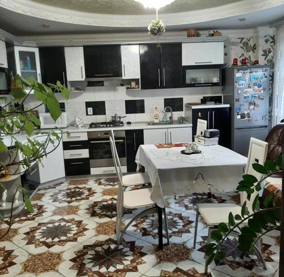 بنسيون у ані