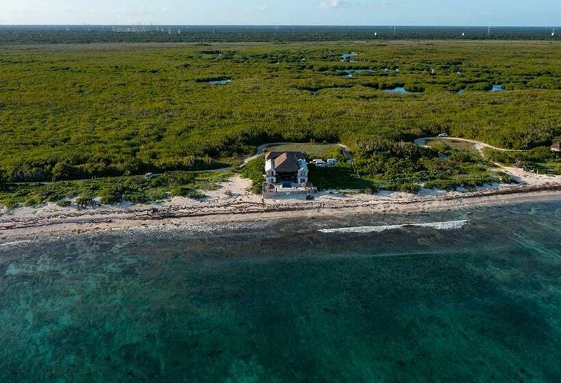 ペンション Casa Amor Pto Morelos