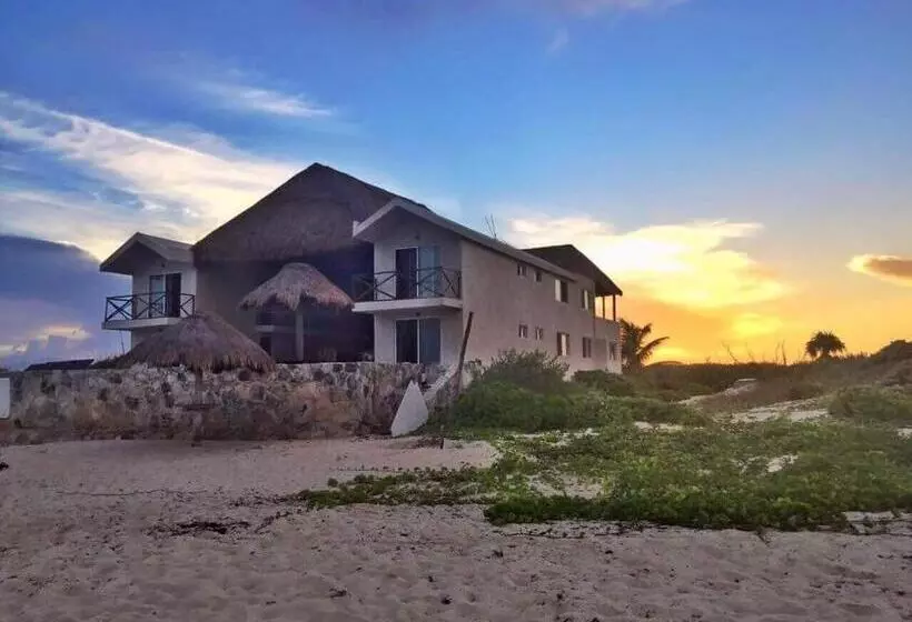 Majatalo Casa Amor Pto Morelos