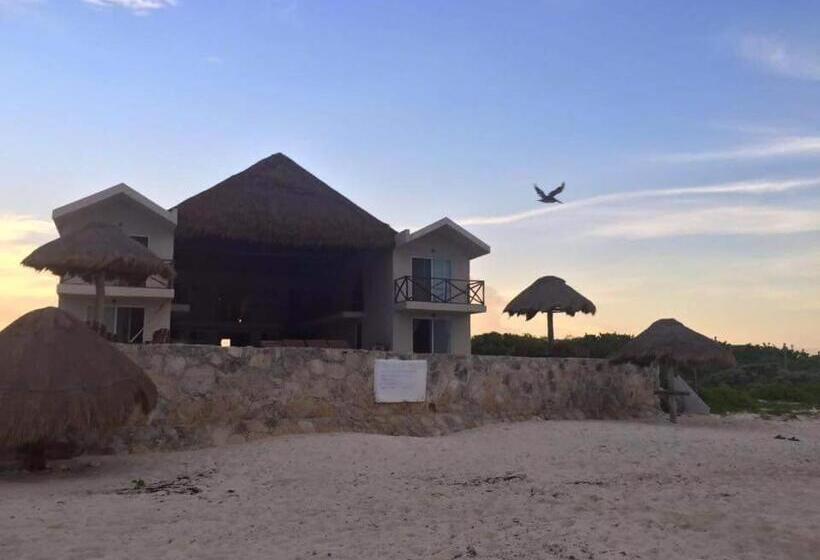 ペンション Casa Amor Pto Morelos