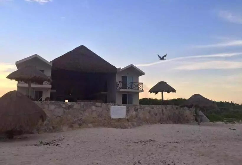 Majatalo Casa Amor Pto Morelos