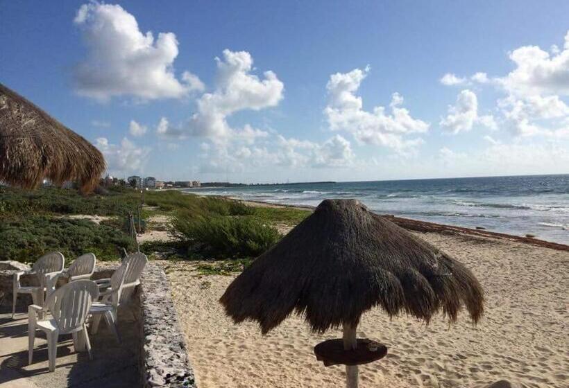 ペンション Casa Amor Pto Morelos