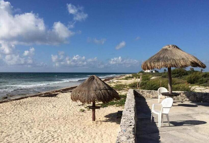 ペンション Casa Amor Pto Morelos