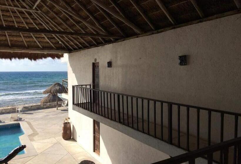 ペンション Casa Amor Pto Morelos