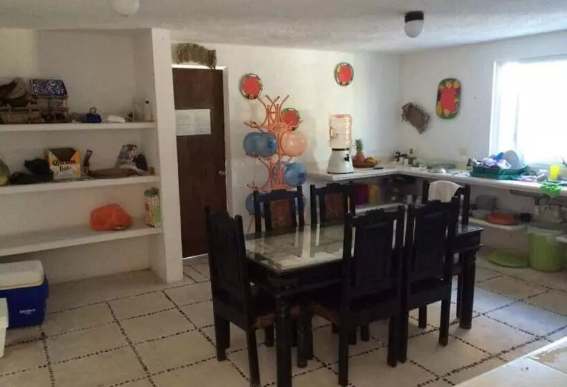 Majatalo Casa Amor Pto Morelos