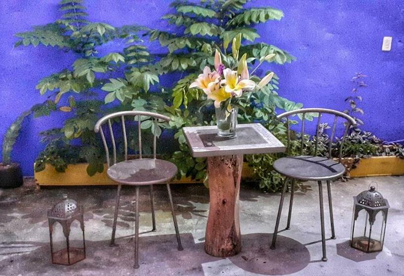 בית מלון כפרי Lola Atlachinolli