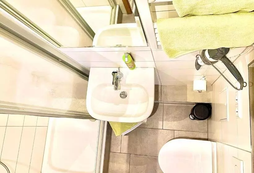 Hotelli Und Wirtshaus Löwen